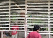 Polsek Asakota Bubarkan Kegiatan Sabung Ayam di Lingkungan Tolotongga