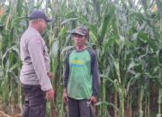 Polsek Kempo Dukung Program Ketahanan Pangan, Pantau Pengolahan Lahan Pertanian Warga