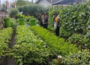 Polres Loteng Tinjau Pekarangan Lahan Bergizi Milik Warga di Janapria.