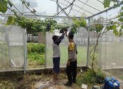 Lombok Barat: Warga Ubah Lahan Kosong Jadi Lumbung Pangan Keluarga