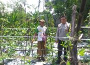 Bhabinkamtibmas Jagaraga Dorong Warga Tanam Sayur di Pekarangan Rumah