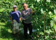 Bhabinkamtibmas Desa Kerembong Polsek Janapria Sambangi Lahan Warga Binaan Dukung Ketahanan Pangan