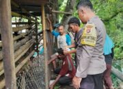 Tak Hanya Jaga Keamanan, Polisi Ini Sukses Gerakkan Ketahanan Pangan Warga