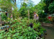 Polisi Ajak Warga Manfaatkan Pekarangan, Ketahanan Pangan Meningkat!