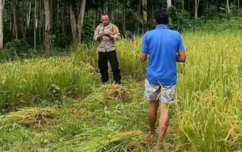 Sinergi Polisi-Petani: Lombok Barat Siap Hadapi Ramadan