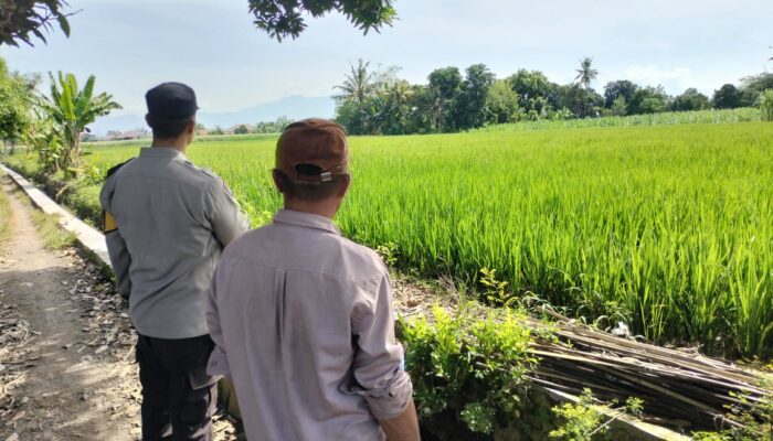 Sinergi Polri dan Petani: Wujudkan Ketahanan Pangan di Labuapi