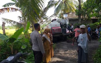 Sinergi Petani dan Polisi, Lombok Barat Raih Swasembada Pangan