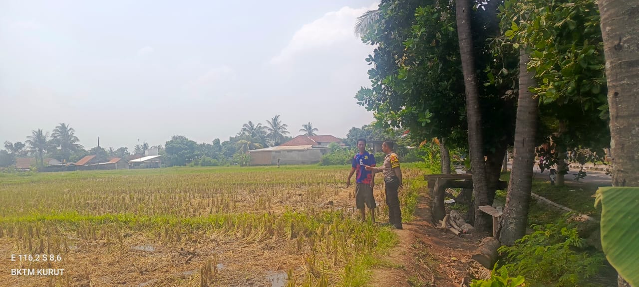 Polsek Kuripan Lombok Barat Edukasi Petani Soal Swasembada Pangan, Apa Hasilnya