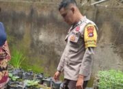 Bhabinkamtibmas Menginspirasi: Warga Lombok Barat Bangkit dengan Pertanian Mandiri