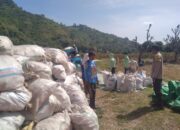 Bhabinkamtibmas Desa Mumbu Pantau Panen Raya Jagung, Dukung Program Ketahanan Pangan Nasional