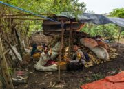 Dukung Ketahanan Pangan, Bhabinkamtibmas Desa Mantar Monitoring Panen Jagung di Desa Binaanya