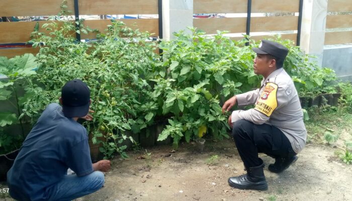 Kapolsek Sekotong Sambangi Warga, Pantau Program Pekarangan Bergizi