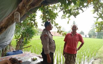 Terobosan Polsek Labuapi: Keamanan dan Ketahanan Pangan Jalan Beriringan