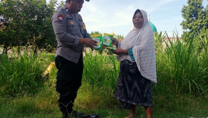 Polsek Labuapi Salurkan Bibit Jagung Manis untuk Dukung Ketahanan Pangan Desa