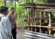 Polri Dukung Ketahanan Pangan: Bhabinkamtibmas Aktif di Desa Senggigi