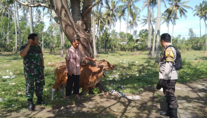 Pemanfaatan Pekarangan untuk Ketahanan Pangan di Batulayar