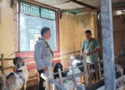 Bhabinkamtibmas Polsek Batulayar Sosialisasikan Pemanfaatan Lahan Pekarangan untuk Ketahanan Pangan