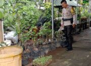 Bhabinkamtibmas Desa Terong Tawah Galakkan Ketahanan Pangan di Desa