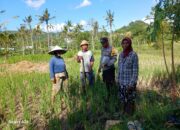 Bhabinkamtibmas Desa Giri Tembesi Berikan Motivasi dan Saran Pertanian kepada Petani
