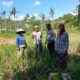 Bhabinkamtibmas Desa Giri Tembesi Dukung Ketahanan Pangan dengan Sambang ke Petani
