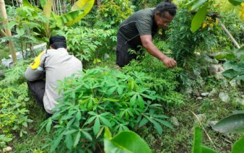 Polri dan Petani Bersatu Wujudkan Program Pangan Nasional di Lombok Barat