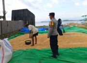 Bhabinkamtibmas Sekotong Barat Aktif Jaga Ketahanan Pangan dan Sampaikan Pesan Kamtibmas