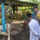 Polri Perkuat Ketahanan Pangan di Senggigi: Apa yang Terjadi?