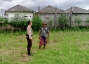 Bhabinkamtibmas Terong Tawah Aktif Dorong Ketahanan Pangan di Tingkat Desa