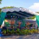 Semarak Car Free Nite: Kolaborasi Budaya dan Kesehatan di Lombok Barat