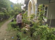Dukung Pertanian Pekarangan, Polri Hadir Erat di Tengah Masyarakat di Sekotong