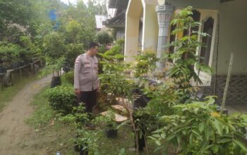 Dukung Pertanian Pekarangan, Polri Hadir Erat di Tengah Masyarakat di Sekotong