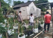 Polres Lombok Tengah Tinjau Pekarangan Bergizi Warga: Inspirasi Dukung Program Asta Cita Presiden