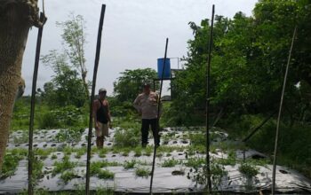Sambang Warga, Bhabinkamtibmas Gaungkan Ketahanan Pangan Desa
