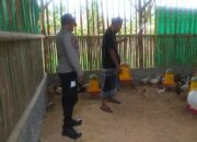 Menggerakkan Ketahanan Pangan, Bhabinkamtibmas Jagaraga Kunjungi Peternak Ayam Mandiri