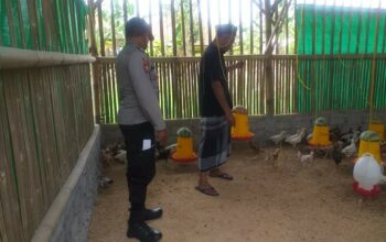 Menggerakkan Ketahanan Pangan, Bhabinkamtibmas Jagaraga Kunjungi Peternak Ayam Mandiri
