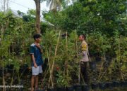 Peran Aktif Polisi dan Pemuda dalam Wujudkan Ketahanan Pangan Lokal