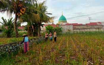 Sinergi Polri dan Warga Kembangkan Ketahanan Pangan Desa