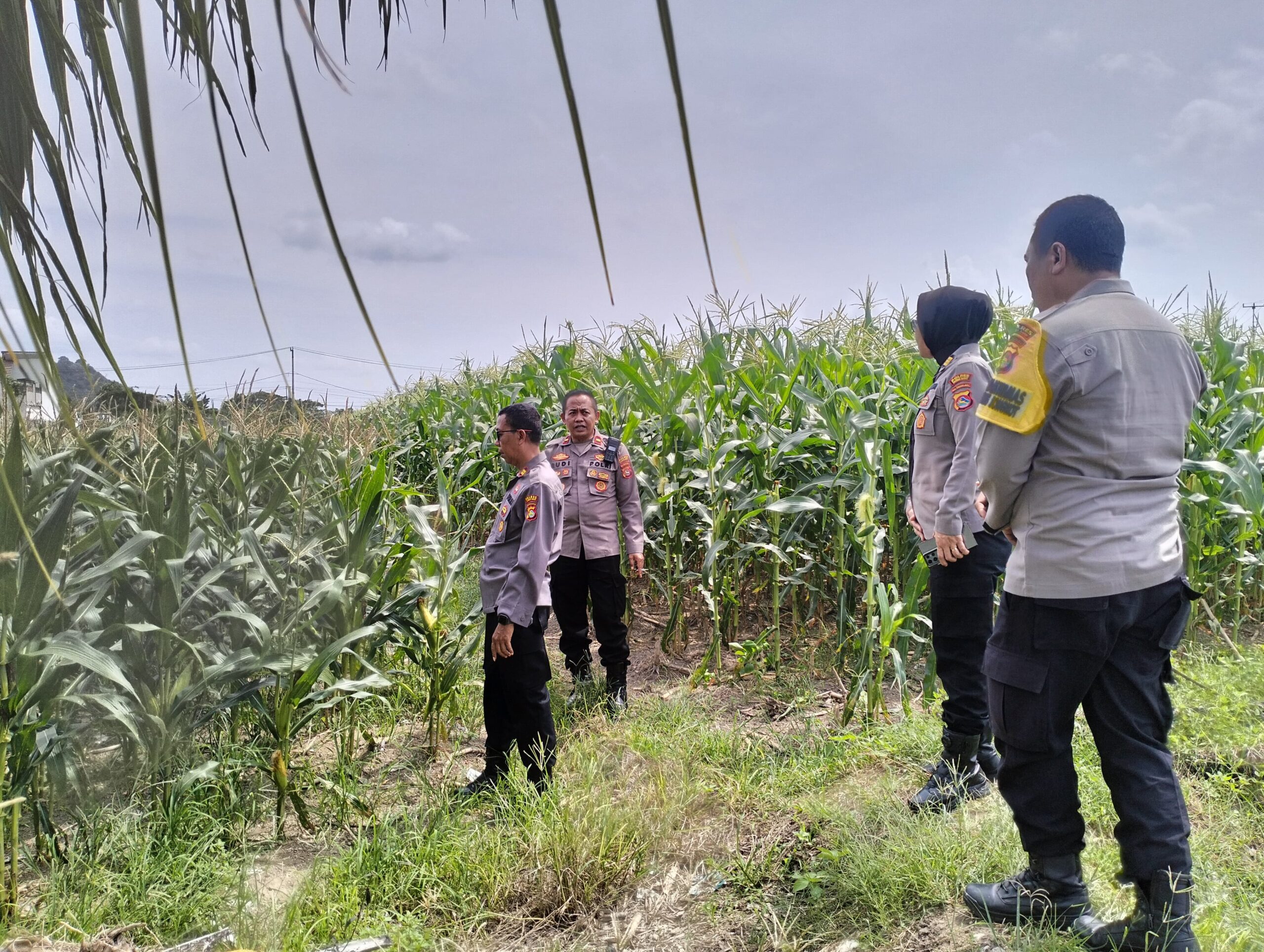 DDS Bhabinkamtibmas: Pendekatan Humanis Jaga Kamtibmas dan Pangan