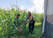 Peran Bhabinkamtibmas dalam Mendukung Ketahanan Pangan Nasional di Lombok Barat