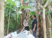Polsek Batulayar Dorong Warga Sandik Manfaatkan Lahan Kosong untuk Ketahanan Pangan