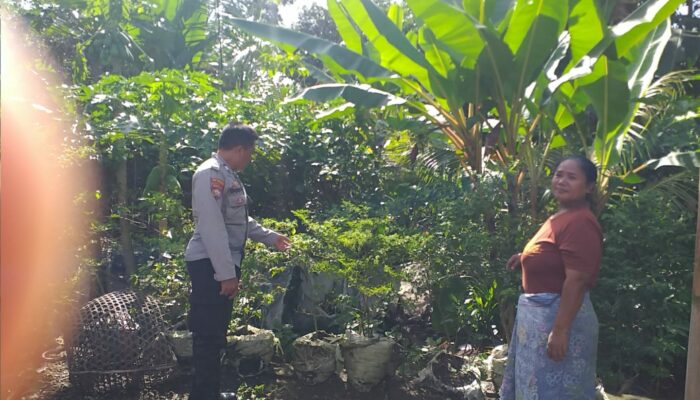 Polsek Kuripan Dorong Ketahanan Pangan Lewat Peran Aktif Bhabinkamtibmas