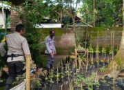 Bhabinkamtibmas Kuripan Edukasi Warga Soal Ketahanan Pangan Lokal