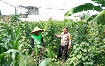 Polsek Labuapi Dukung Ketahanan Pangan, Bhabinkamtibmas Ajak Warga Manfaatkan Lahan Kosong
