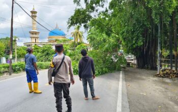 Sinergi Polsek dan Dinas LH Lombok Barat Dalam Penertiban Pohon Berbahaya