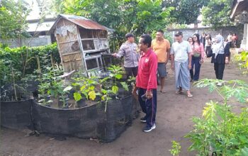 Program Ketahanan Pangan Digencarkan di Desa Jagaraga