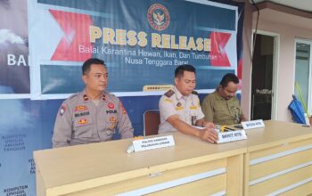 Balai Karantina NTB dan Polisi Gagalkan Perdagangan Burung Ilegal di Pelabuhan Lembar