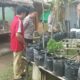 Kolaborasi Polri dan Pertanian dalam Program Pekarangan Bergizi untuk Ketahanan Pangan