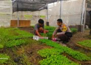 Strategi Polres Lombok Barat Tingkatkan Kemandirian Pangan Masyarakat Desa