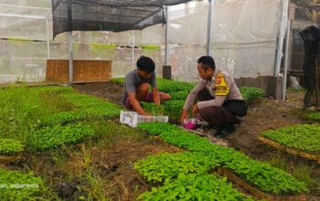 Strategi Polres Lombok Barat Tingkatkan Kemandirian Pangan Masyarakat Desa