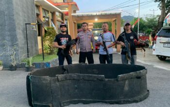Dua Ekor Ayam dan Gelanggang Disita Tim Opsnal Polsek Rasbar Saat Penggerebekan Judi Sabung Ayam